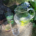 Glaskrug und Gläser aus optischem Glas